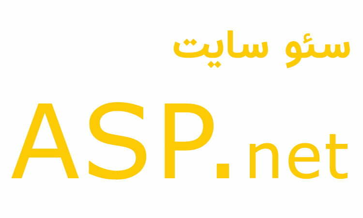 سئو سایت asp