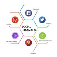 Social Signal