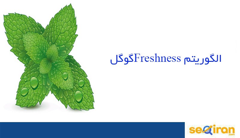 Freshness Algorithm