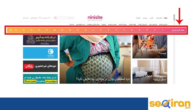 هفته اول تا چهلم بارداری سئو نی نی سایت