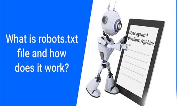 بررسی کاربرد دستورات فایل ROBOTS
