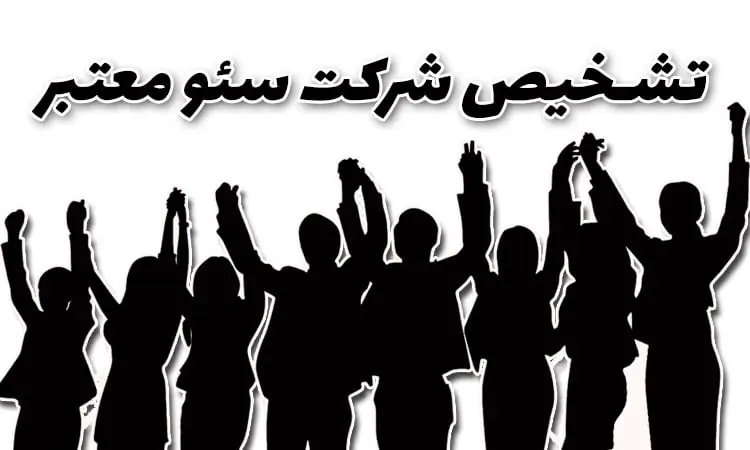 تشخیص شرکت سئو